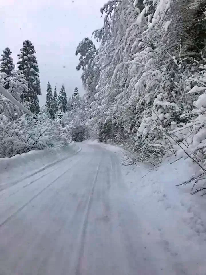 Comandău Cazare | Motel (K1223-33) Imaginea poate fi supusă drepturilor de autor. Se recomandă contactarea titularului drepturilor.