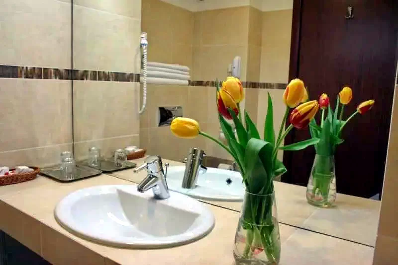 Temesvár Szállás | Hotel**** (K0911-29) A kép szerzői jogvédelem alatt állhat. Javasolt a kapcsolatfelvétel a jog tulajdonossal.