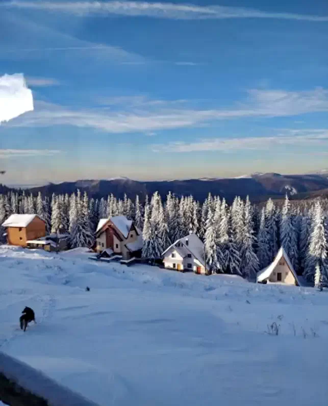  Szállás | Motel (K0540-29) A kép szerzői jogvédelem alatt állhat. Javasolt a kapcsolatfelvétel a jog tulajdonossal.