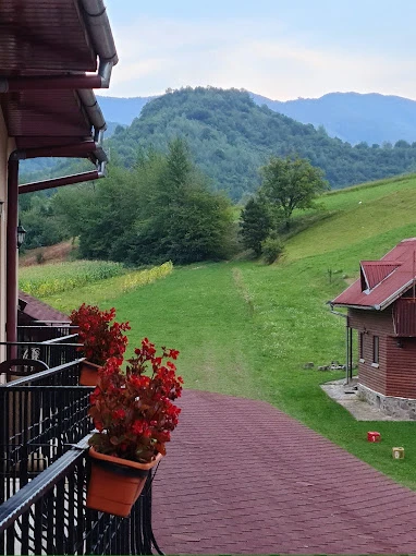 Kiskoh Szállás | Panzió (K0369-38) A kép szerzői jogvédelem alatt állhat. Javasolt a kapcsolatfelvétel a jog tulajdonossal.