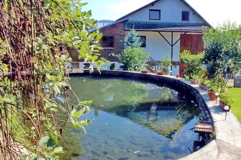 Vișeu de Sus Cazare | Motel (K1056-34) Imaginea poate fi supusă drepturilor de autor. Se recomandă contactarea titularului drepturilor.