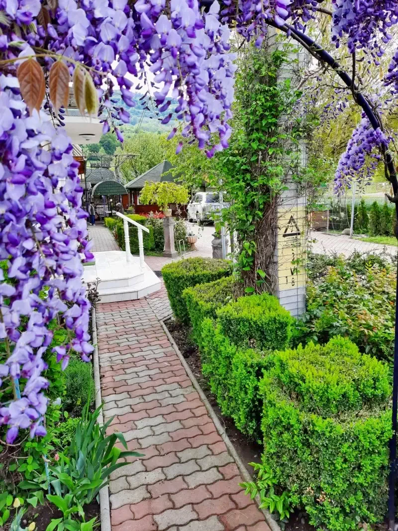 Zetelaka Szállás | Motel (K1387-9) A kép szerzői jogvédelem alatt állhat. Javasolt a kapcsolatfelvétel a jog tulajdonossal.