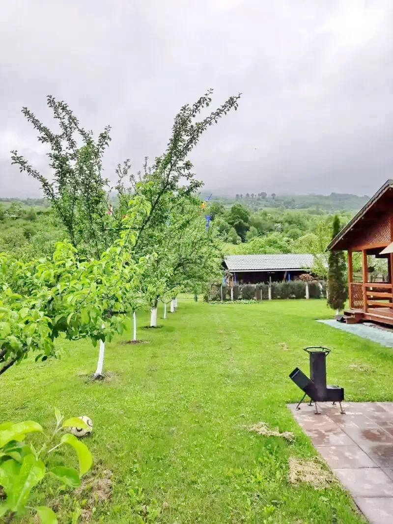 Zetea Cazare | Motel (K1387-29) Imaginea poate fi supusă drepturilor de autor. Se recomandă contactarea titularului drepturilor.