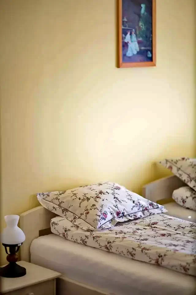 Harghita-Băi Cazare | Pensiune (K0767-15) Imaginea poate fi supusă drepturilor de autor. Se recomandă contactarea titularului drepturilor.