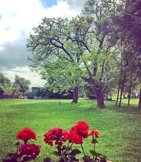Székelykeresztúr Szállás | Turisztikai villa (K1288-42) A kép szerzői jogvédelem alatt állhat. Javasolt a kapcsolatfelvétel a jog tulajdonossal.