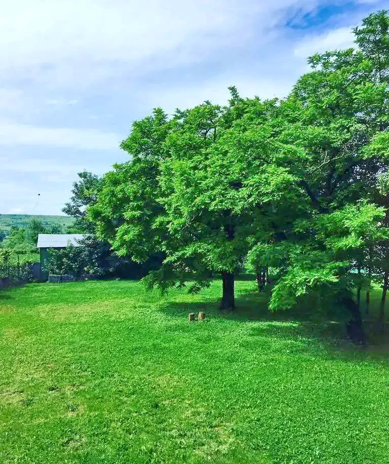 Cristuru Secuiesc Cazare | Vilă turistică (K1288-43) Imaginea poate fi supusă drepturilor de autor. Se recomandă contactarea titularului drepturilor.