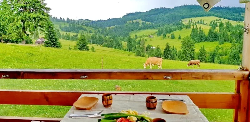 Kolibica Szállás | Turisztikai panzió (K1436-68) A kép szerzői jogvédelem alatt állhat. Javasolt a kapcsolatfelvétel a jog tulajdonossal.