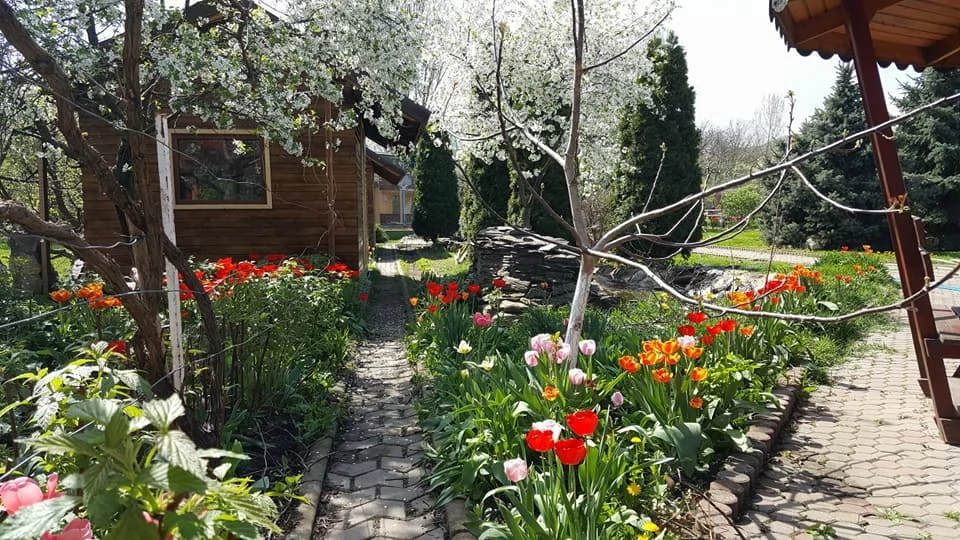 Ighiu/Ighìo Cazare | Motel (K0477-61) Imaginea poate fi supusă drepturilor de autor. Se recomandă contactarea titularului drepturilor.