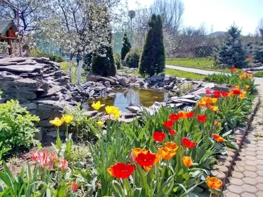 Magyarigen Szállás | Motel (K0477-68) A kép szerzői jogvédelem alatt állhat. Javasolt a kapcsolatfelvétel a jog tulajdonossal.