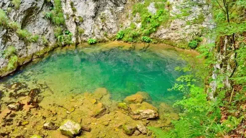 Cazare Arieșeni - Vila Vank *** | Lepus - Vank Villa ***. Imaginea poate fi supusă drepturilor de autor. Se recomandă contactarea titularului drepturilor.