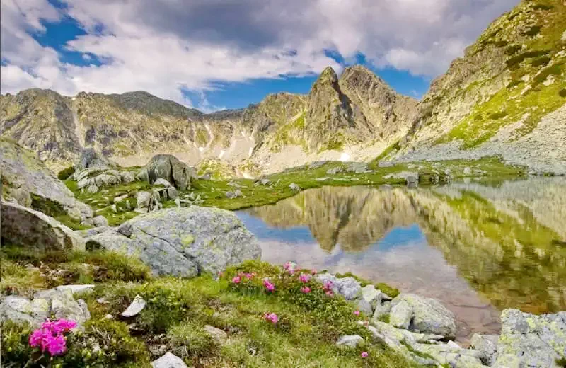 Cristur Cazare | Motel (K0269-58) Imaginea poate fi supusă drepturilor de autor. Se recomandă contactarea titularului drepturilor.