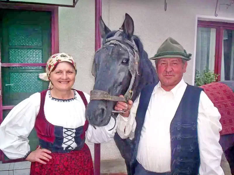 Cristur Cazare | Casă de oaspeți (K1196-14) Imaginea poate fi supusă drepturilor de autor. Se recomandă contactarea titularului drepturilor.