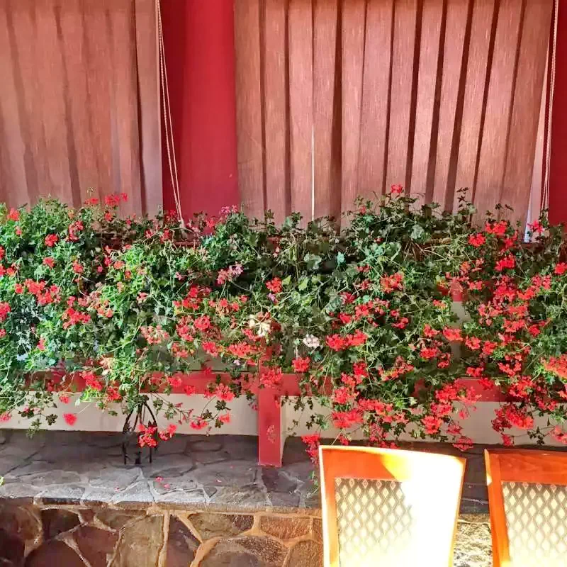 Ocna de Sus Cazare | Motel (K0144-14) Imaginea poate fi supusă drepturilor de autor. Se recomandă contactarea titularului drepturilor.