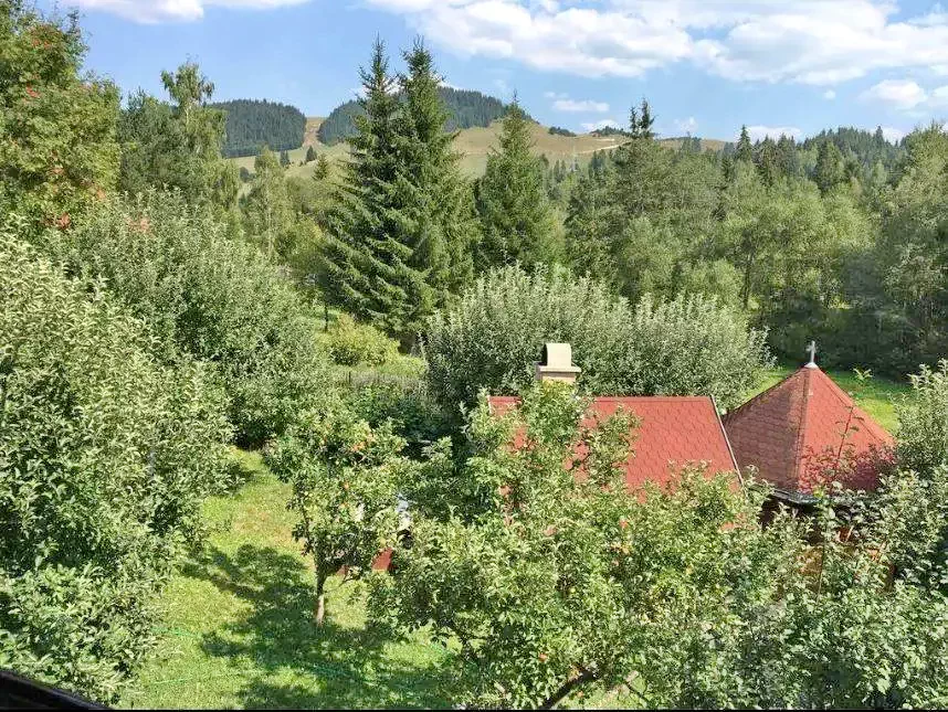 Szállás Izvoru Mureșului - Pensiunea Gentiana*** | Marosfő - Gentiana Panzió***. A kép szerzői jogvédelem alatt állhat. Javasolt a kapcsolatfelvétel a jog tulajdonossal.