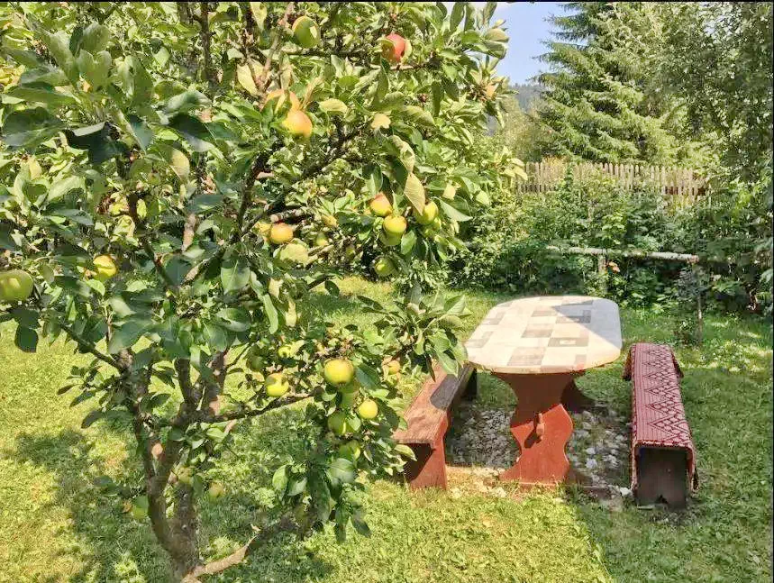 Szállás Izvoru Mureșului - Pensiunea Gentiana*** | Marosfő - Gentiana Panzió***. A kép szerzői jogvédelem alatt állhat. Javasolt a kapcsolatfelvétel a jog tulajdonossal.