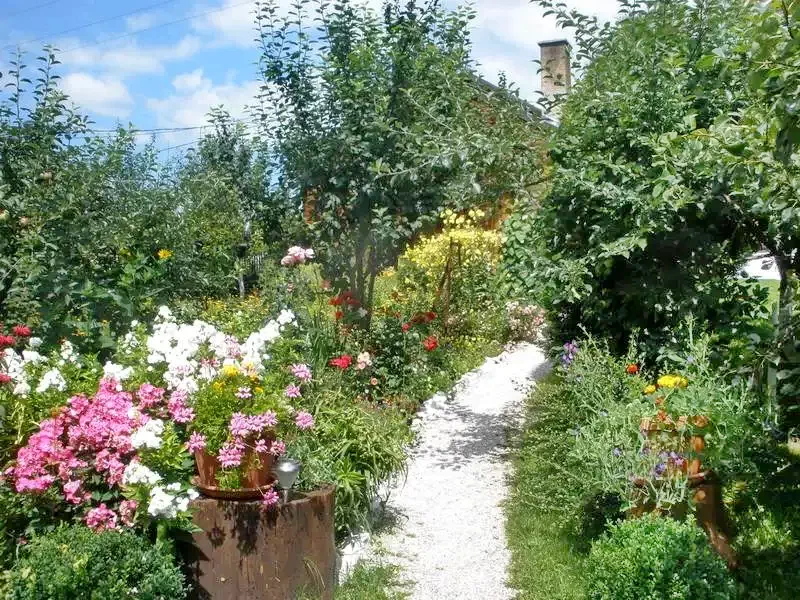 Szállás Izvoru Mureșului - Pensiunea Gentiana*** | Marosfő - Gentiana Panzió***. A kép szerzői jogvédelem alatt állhat. Javasolt a kapcsolatfelvétel a jog tulajdonossal.