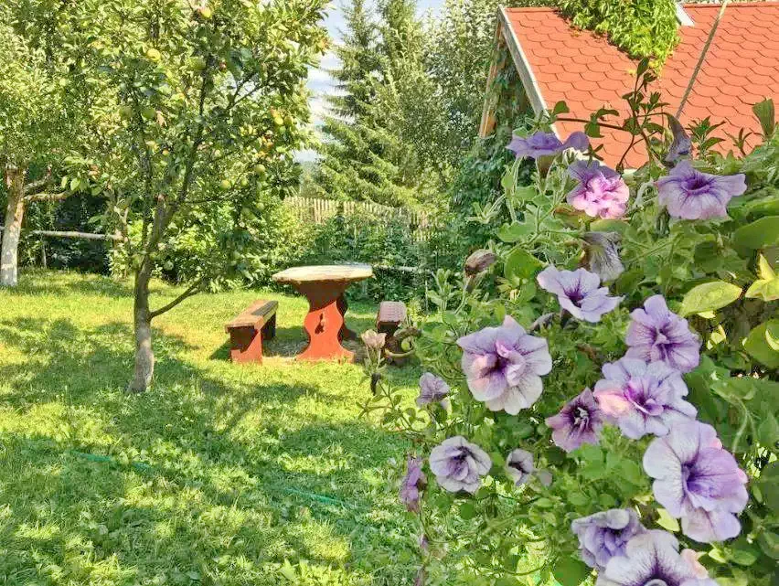 Szállás Izvoru Mureșului - Pensiunea Gentiana*** | Marosfő - Gentiana Panzió***. A kép szerzői jogvédelem alatt állhat. Javasolt a kapcsolatfelvétel a jog tulajdonossal.