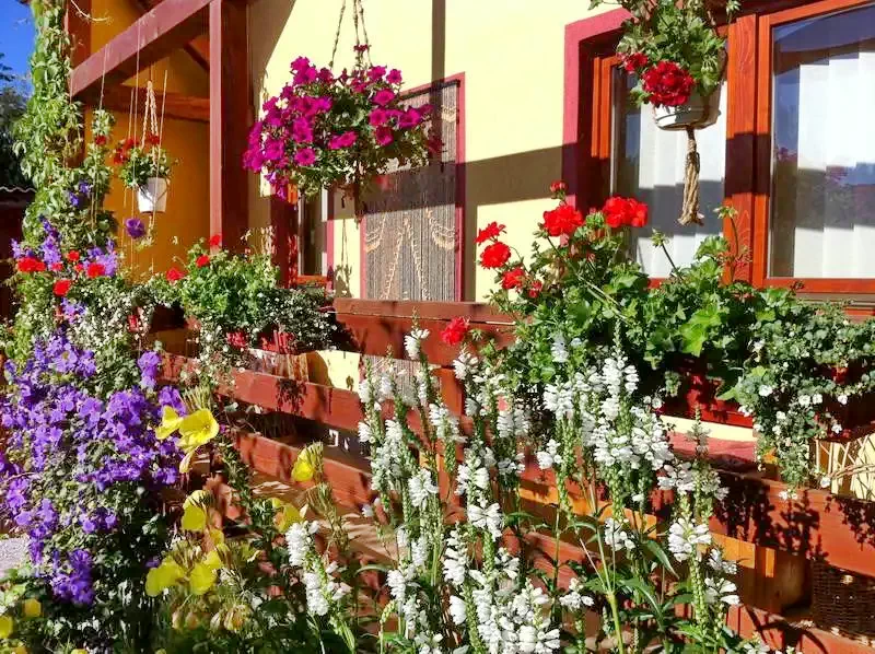 Szállás Izvoru Mureșului - Pensiunea Gentiana*** | Marosfő - Gentiana Panzió***. A kép szerzői jogvédelem alatt állhat. Javasolt a kapcsolatfelvétel a jog tulajdonossal.