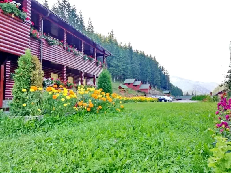 Lacu Roșu Cazare | Motel (K1268-8) Imaginea poate fi supusă drepturilor de autor. Se recomandă contactarea titularului drepturilor.