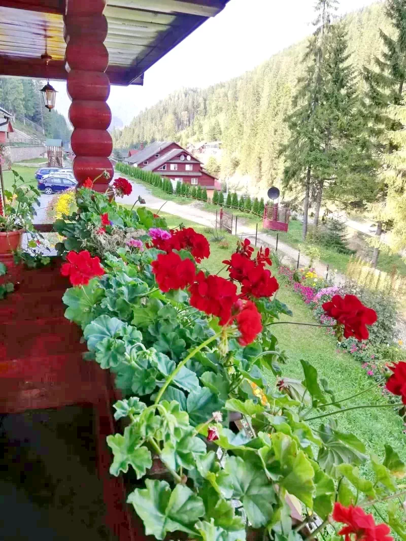 Lacu Roșu Cazare | Motel (K1268-10) Imaginea poate fi supusă drepturilor de autor. Se recomandă contactarea titularului drepturilor.