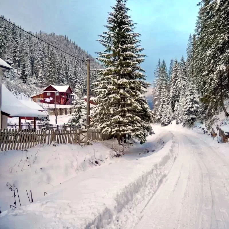 Lacu Roșu Cazare | Motel (K1268-37) Imaginea poate fi supusă drepturilor de autor. Se recomandă contactarea titularului drepturilor.