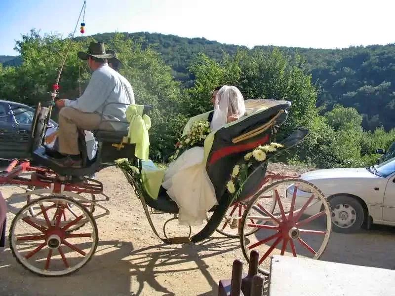 Ferencfalva Szállás | Turisztikai panzió (K0902-26) A kép szerzői jogvédelem alatt állhat. Javasolt a kapcsolatfelvétel a jog tulajdonossal.