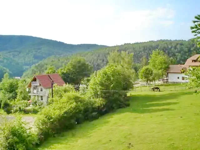 Văliug Cazare | Pensiune turistică (K0902-27) Imaginea poate fi supusă drepturilor de autor. Se recomandă contactarea titularului drepturilor.