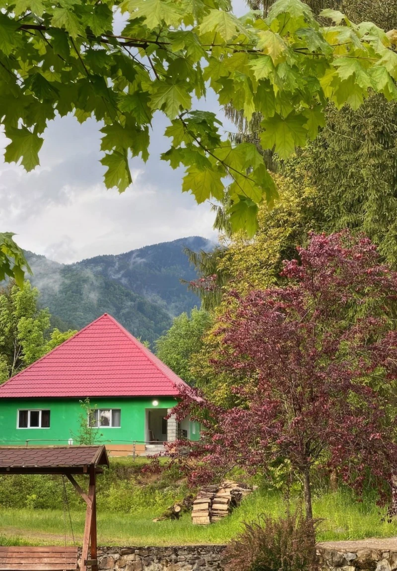 Pietroasa Cazare | Cabană (K1519-58) Imaginea poate fi supusă drepturilor de autor. Se recomandă contactarea titularului drepturilor.