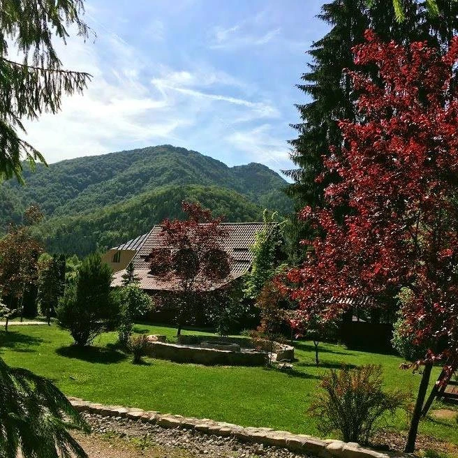 Pietroasa Cazare | Cabană (K1519-70) Imaginea poate fi supusă drepturilor de autor. Se recomandă contactarea titularului drepturilor.
