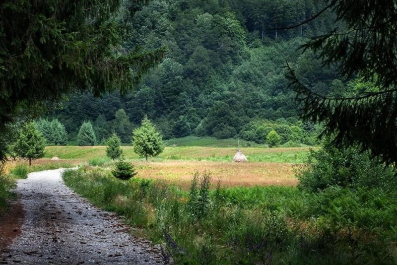 Pietroasa Cazare | Cabană (K1519-75) Imaginea poate fi supusă drepturilor de autor. Se recomandă contactarea titularului drepturilor.