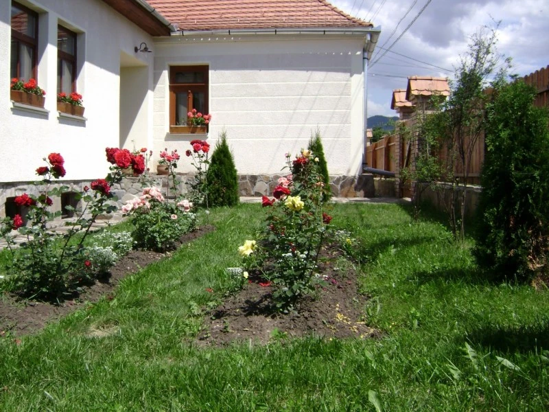 Nădejdea Cazare | Motel (K0546-22) Imaginea poate fi supusă drepturilor de autor. Se recomandă contactarea titularului drepturilor.