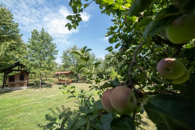 Székelyszentlélek Szállás | Hotel**** (K1501-38) A kép szerzői jogvédelem alatt állhat. Javasolt a kapcsolatfelvétel a jog tulajdonossal.