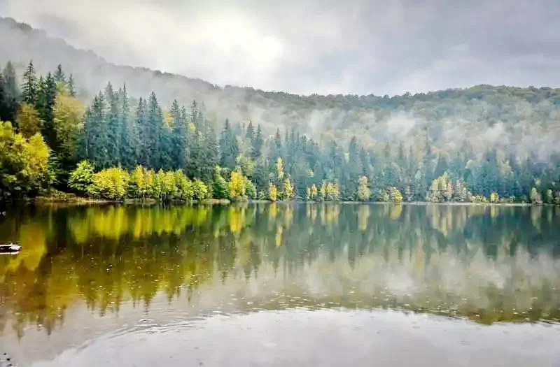 Sepsibükszád Szállás | Üdülőfalu (K1117-41) A kép szerzői jogvédelem alatt állhat. Javasolt a kapcsolatfelvétel a jog tulajdonossal.
