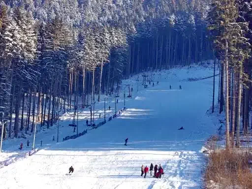 Bixad Cazare | Sat de vacanță (K1117-51) Imaginea poate fi supusă drepturilor de autor. Se recomandă contactarea titularului drepturilor.