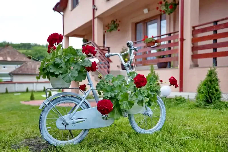 Sic Cazare | Motel (K1379-49) Imaginea poate fi supusă drepturilor de autor. Se recomandă contactarea titularului drepturilor.