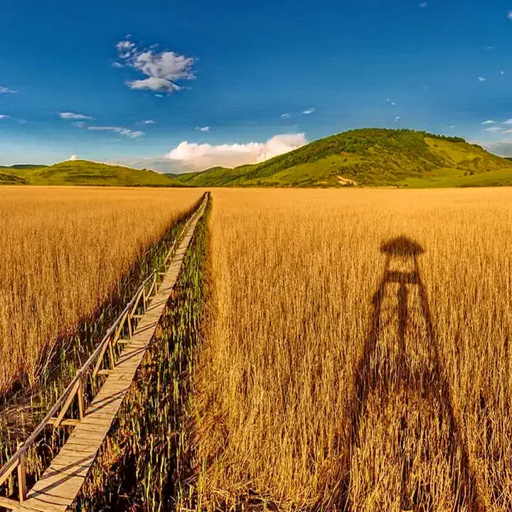 Szék Szállás | Motel (K1379-52) A kép szerzői jogvédelem alatt állhat. Javasolt a kapcsolatfelvétel a jog tulajdonossal.