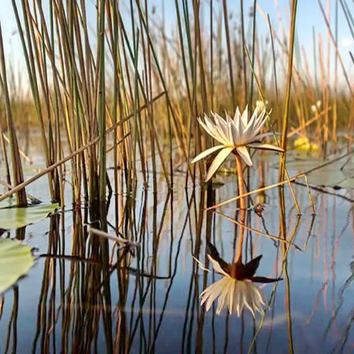 Sic Cazare | Pensiune (K1379-54) Imaginea poate fi supusă drepturilor de autor. Se recomandă contactarea titularului drepturilor. Sic Cazare | Pensiune (K1379-54) Imaginea poate fi supusă drepturilor de autor. Se recomandă contactarea titularului drepturilor.