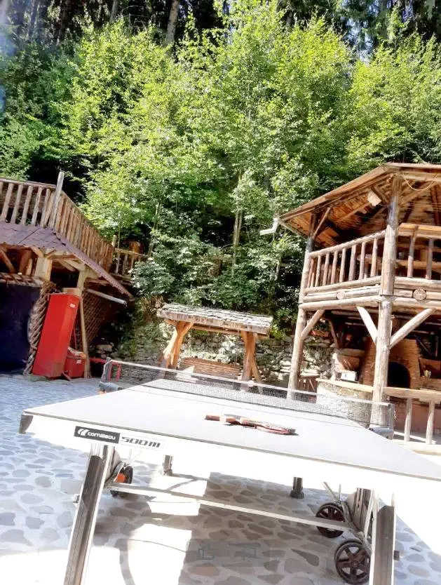 Rucăr Cazare | Hotel**** (K0125-48) Imaginea poate fi supusă drepturilor de autor. Se recomandă contactarea titularului drepturilor.