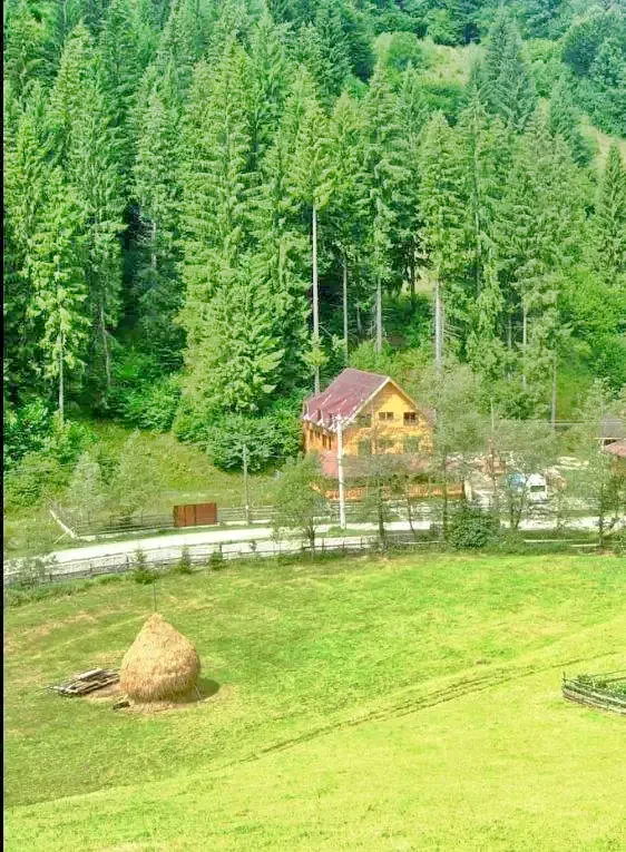 Rucăr Cazare | Hotel**** (K0125-51) Imaginea poate fi supusă drepturilor de autor. Se recomandă contactarea titularului drepturilor.