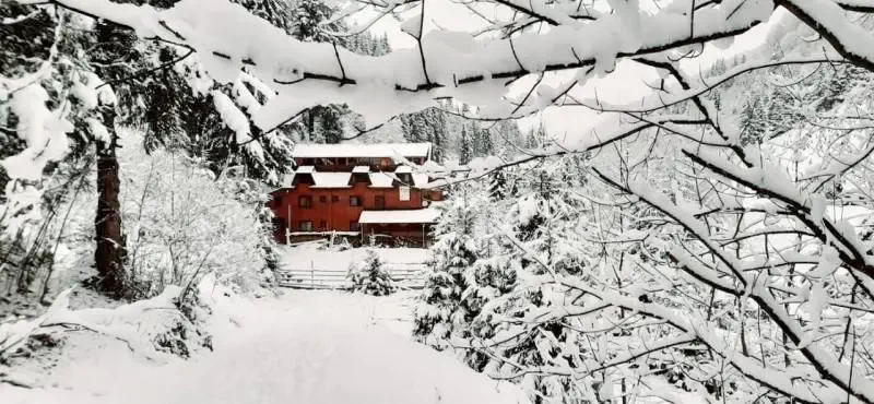 Rucăr Cazare | Hotel**** (K0125-53) Imaginea poate fi supusă drepturilor de autor. Se recomandă contactarea titularului drepturilor.