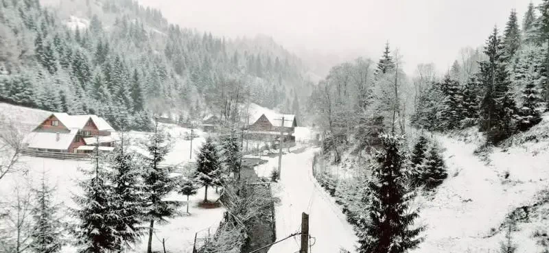 Rucăr Cazare | Hotel**** (K0125-55) Imaginea poate fi supusă drepturilor de autor. Se recomandă contactarea titularului drepturilor.