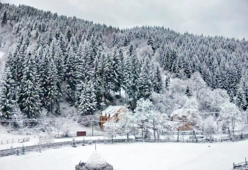 Rucăr Cazare | Hotel**** (K0125-58) Imaginea poate fi supusă drepturilor de autor. Se recomandă contactarea titularului drepturilor.