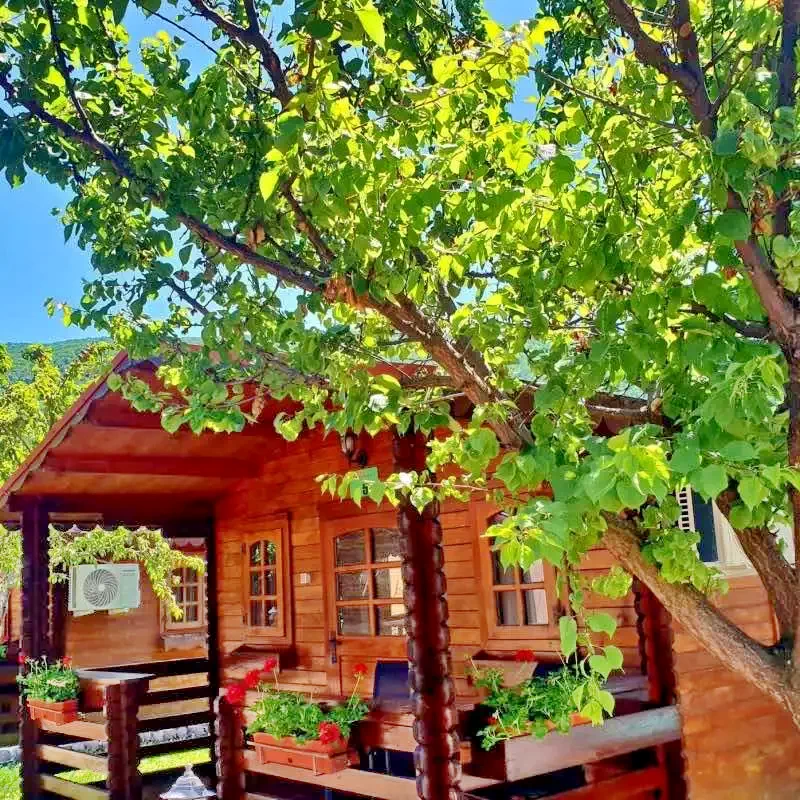Szállás Băile Herculane - Pensiune Casa Ecologica*** | Herkulesfürdő - Casa Ecologica Panzió*** . A kép szerzői jogvédelem alatt állhat. Javasolt a kapcsolatfelvétel a jog tulajdonossal.