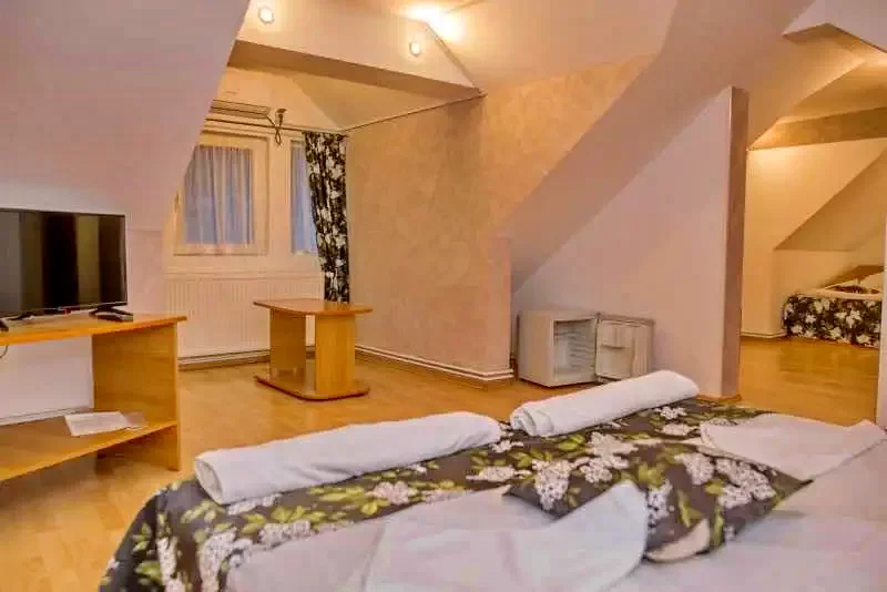 Băile Herculane Cazare | Motel (K0544-20) Imaginea poate fi supusă drepturilor de autor. Se recomandă contactarea titularului drepturilor.