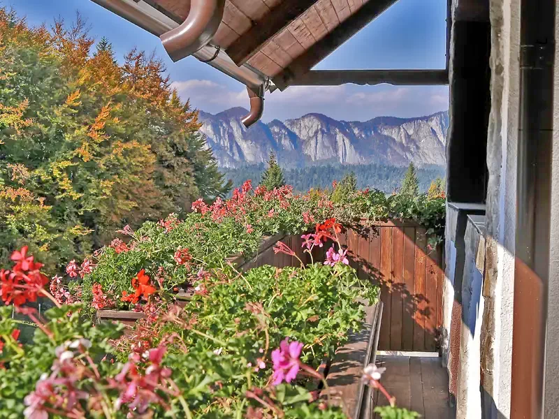 Predeal Cazare | Pensiune turistică (K0733-15) Imaginea poate fi supusă drepturilor de autor. Se recomandă contactarea titularului drepturilor.