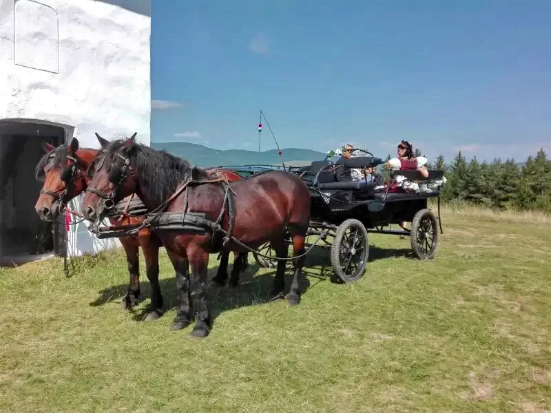 Estelnic Cazare | Motel (K0747-28) Imaginea poate fi supusă drepturilor de autor. Se recomandă contactarea titularului drepturilor.