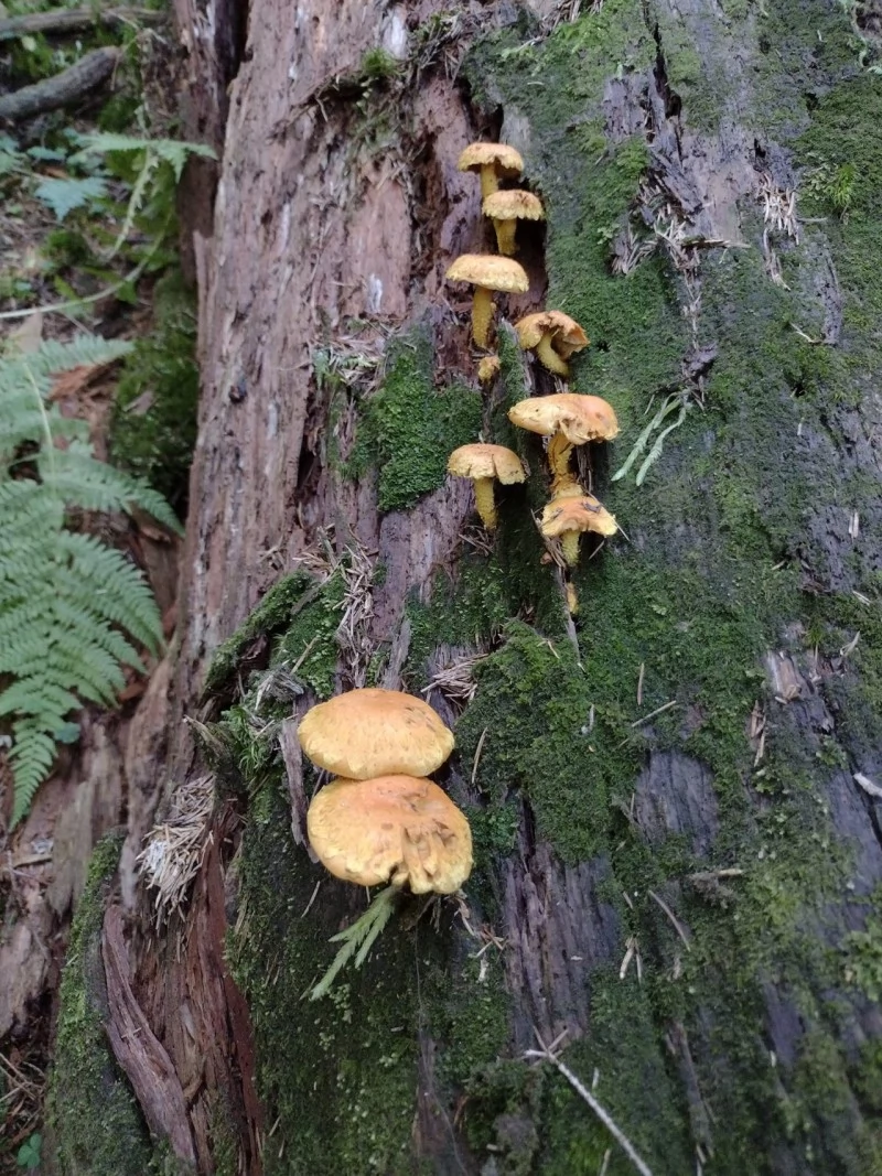 Balea Lac Cazare | Motel (K0068-26) Imaginea poate fi supusă drepturilor de autor. Se recomandă contactarea titularului drepturilor.