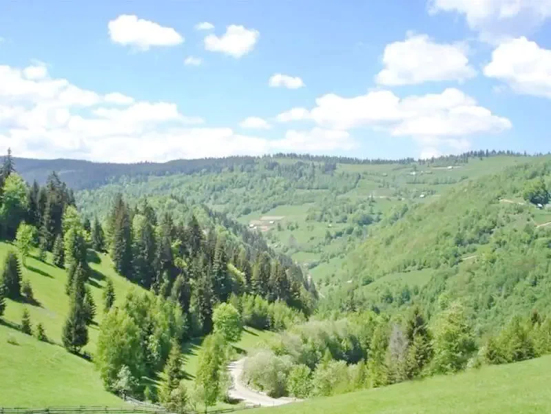 Băișoara Cazare | Pensiune turistică (K0094-28) Imaginea poate fi supusă drepturilor de autor. Se recomandă contactarea titularului drepturilor.