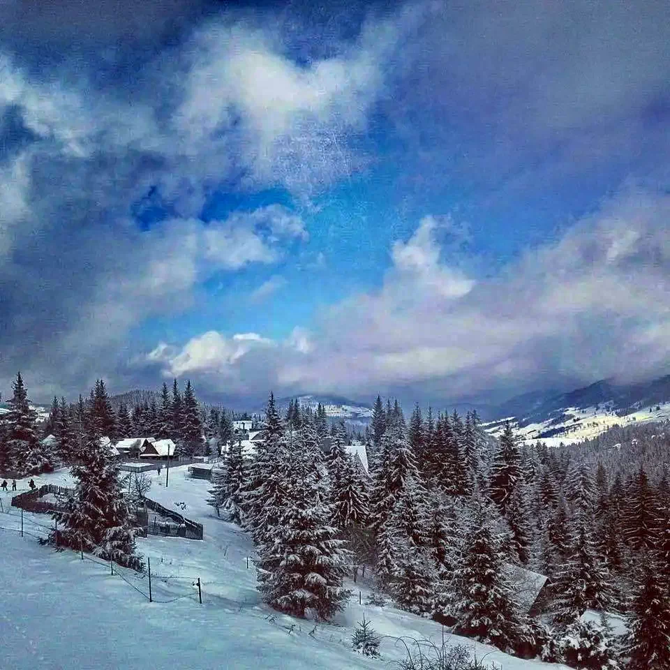 Băișoara Cazare | Pensiune turistică (K0094-29) Imaginea poate fi supusă drepturilor de autor. Se recomandă contactarea titularului drepturilor.