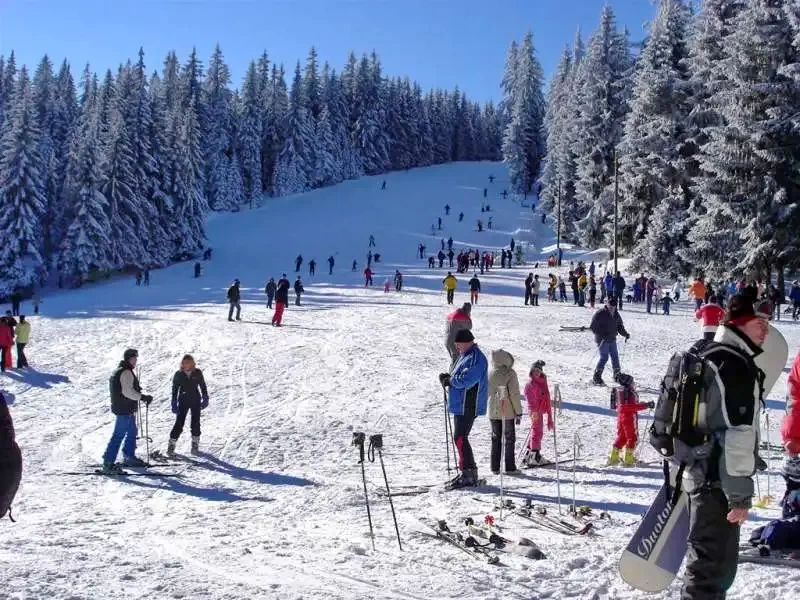 Băișoara Cazare | Pensiune turistică (K0094-31) Imaginea poate fi supusă drepturilor de autor. Se recomandă contactarea titularului drepturilor.